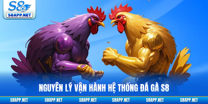 Nguyên lý vận hành hệ thống đá gà S8